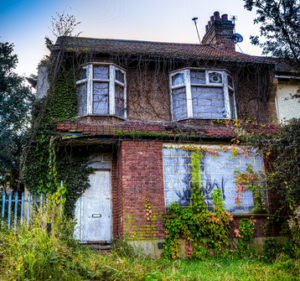 A derelict house with ivy growing over it